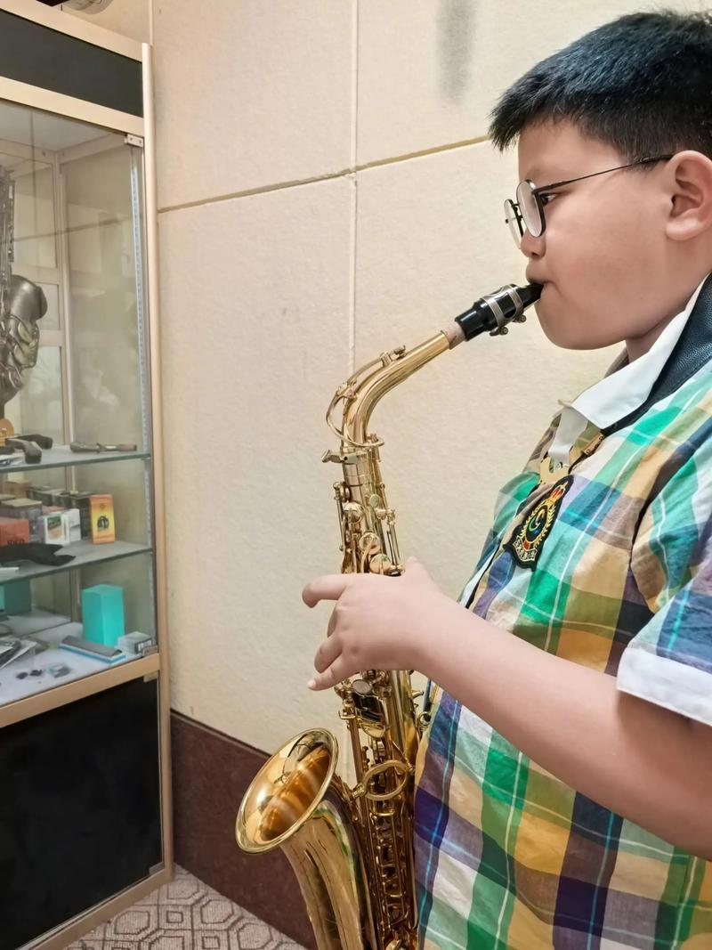石家庄高中哪里能学乐器？-图3