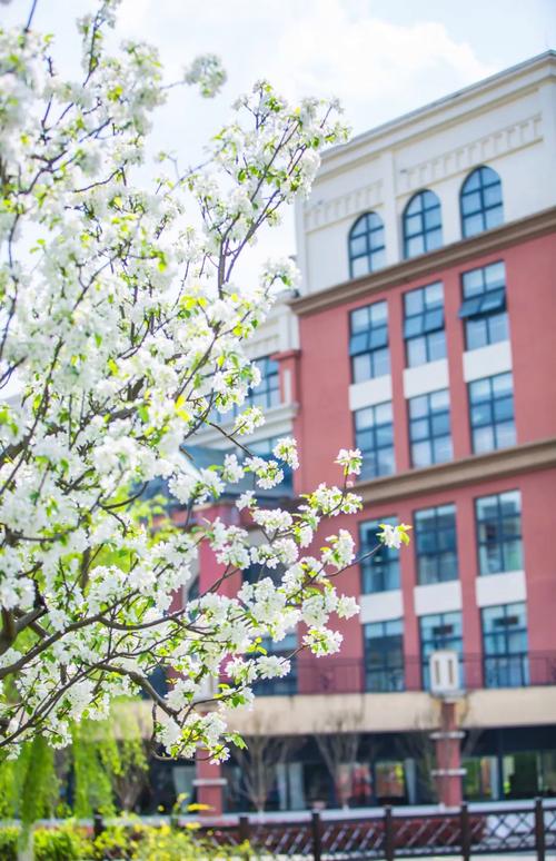 贵阳高职幼师学校有哪些?-图2 贵阳高职幼师学校有哪些?-图2