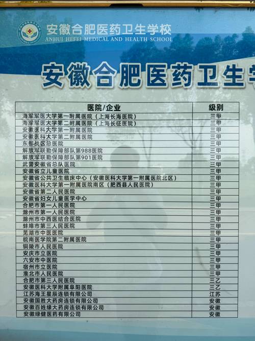 合肥初中毕业报卫校有什么条件？-图3