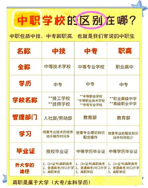 中专属于初中还是高中？-图2