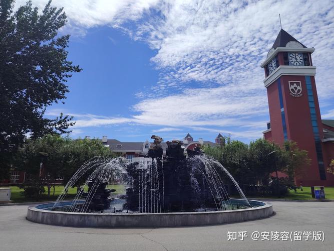 爱迪国际高中录取条件有哪些？-图1